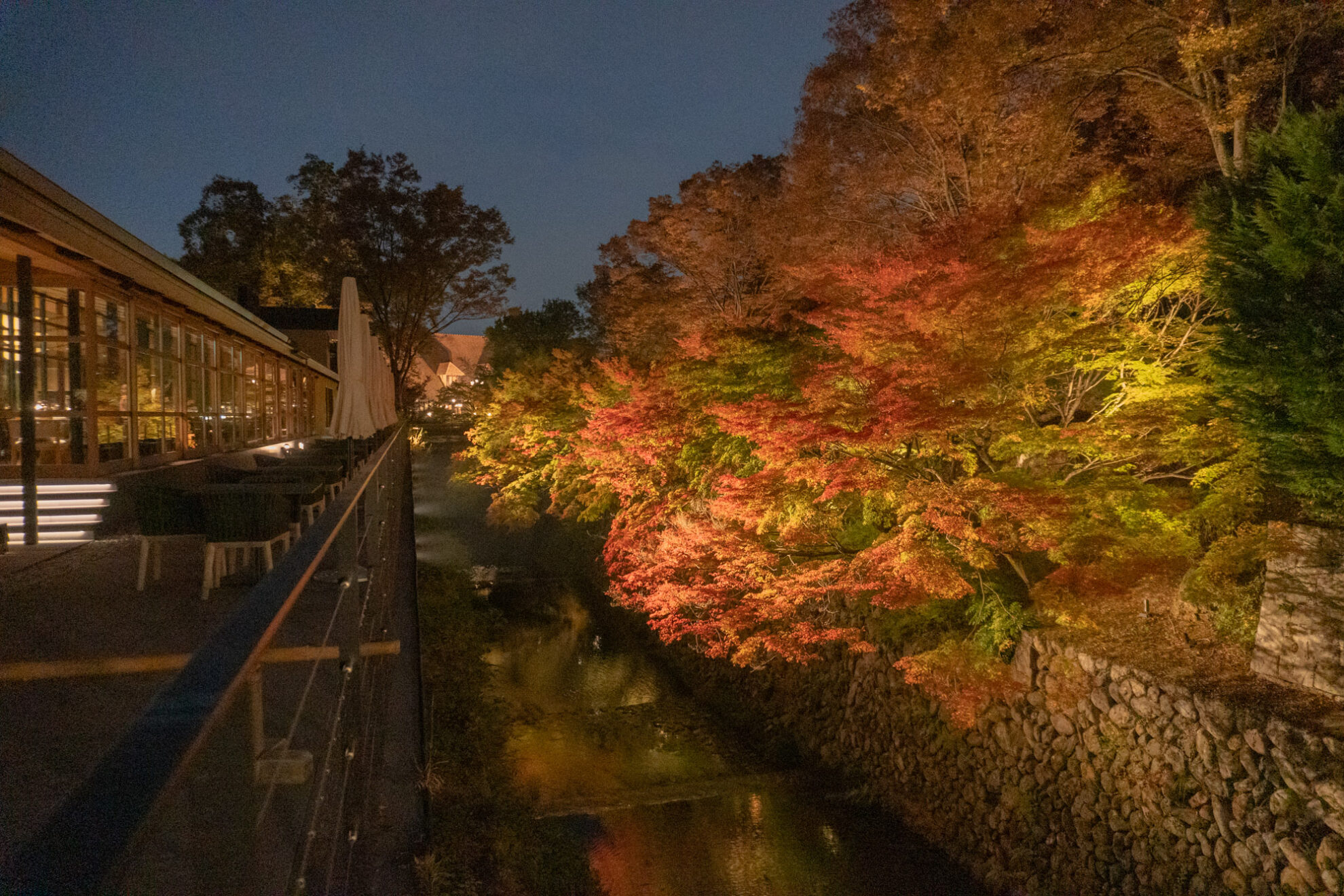 夜景